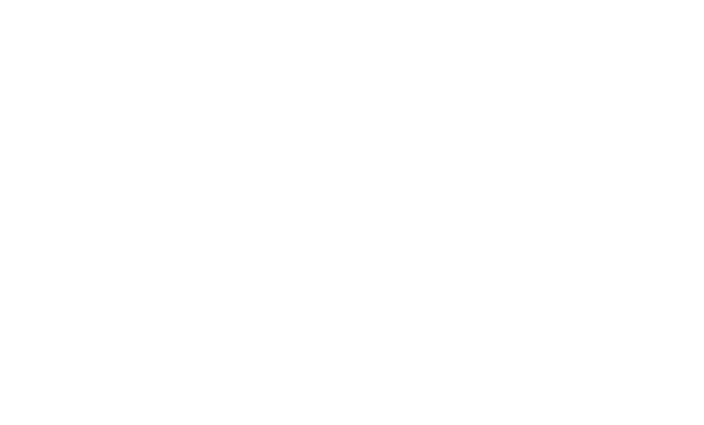 Capitán del Marketing